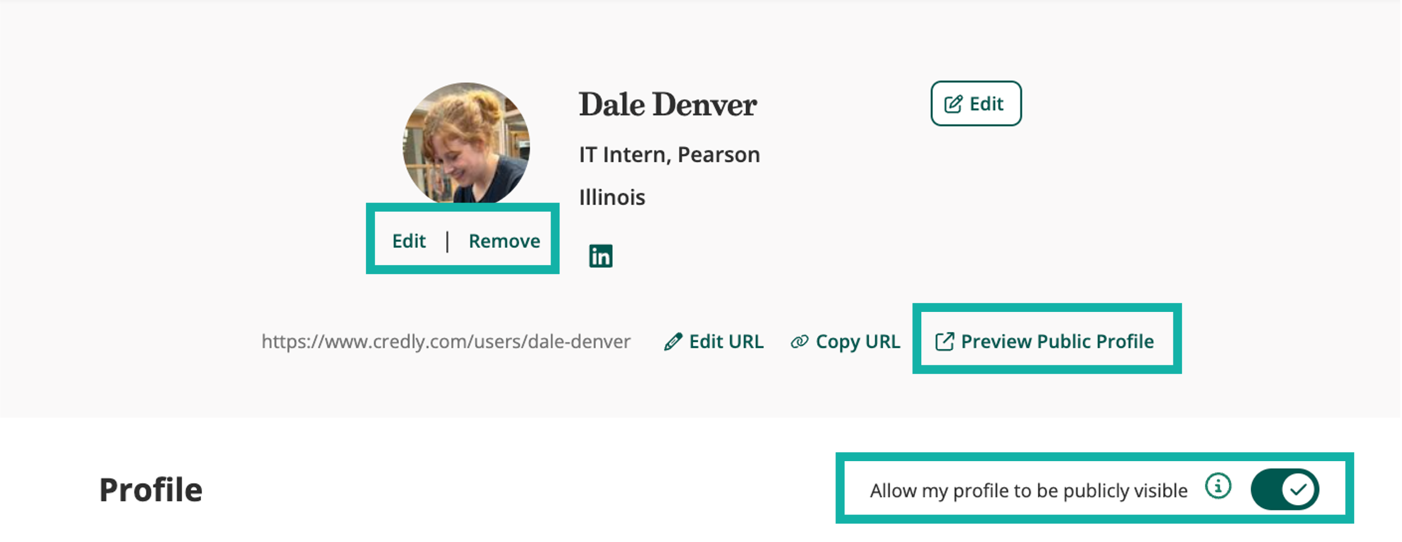 screenshot with 3 areas highlighted - one for editing photo, 2 for making things public